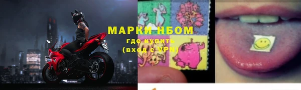не бодяженный Бородино