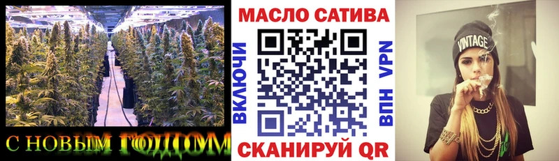MEGA рабочий сайт  продажа наркотиков  Шарья  Дистиллят ТГК вейп 