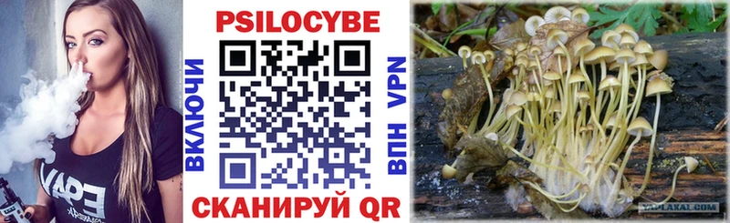 купить закладку  Шарья  Псилоцибиновые грибы Magic Shrooms 