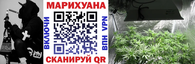 что такое   Шарья  Конопля AK-47 